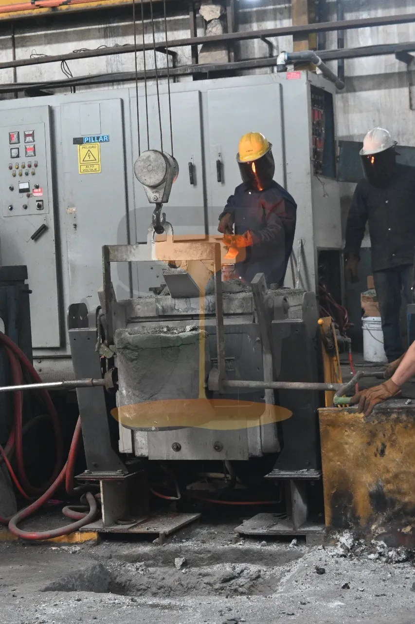 Equipo de trabajo en planta